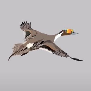 Meet your Posher, Troy